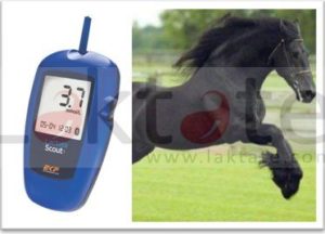 Estimation of Physical Fitness in Sport Horses by a Scoring System with Functional Indexes